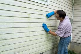 Affordable Siding Repair and Maintenance Services in Louisville, OH